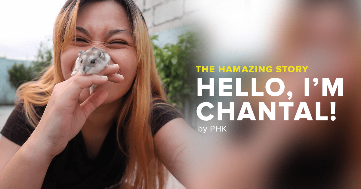 My Hamazing Story: Hello I’m&nbsp;CHANTAL!