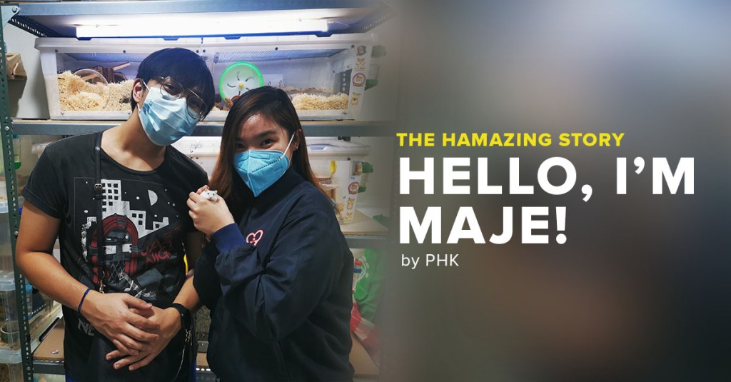 My Hamazing Story: Hello I’m&nbsp;Maje!