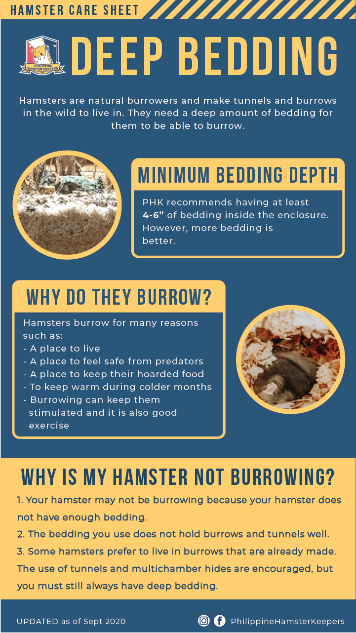 Multi-Level Vertical Hamster Cage Beddings preview