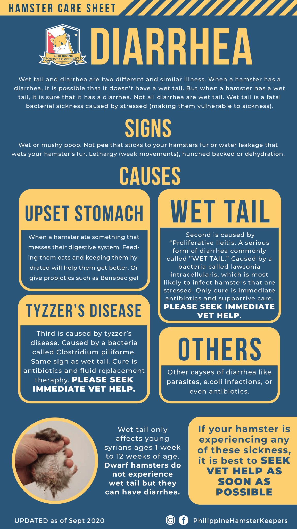 Picture of Diarrhea / Wet tail – Philippine Hamster Keepers