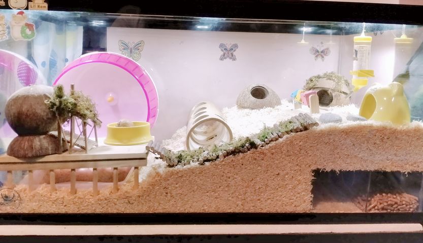 Freestanding Hamster Aquarium Habitat preview