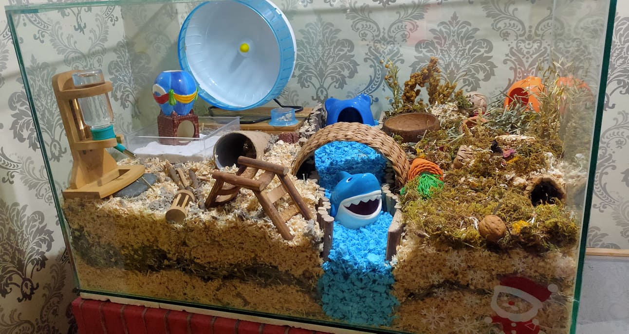 Picture of Aquarium / Glass – Philippine Hamster Keepers