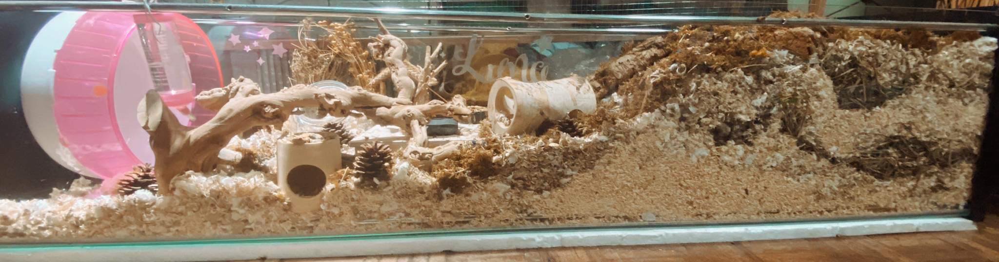 Photo inspiration: Gallery Detail: Aquarium Glass