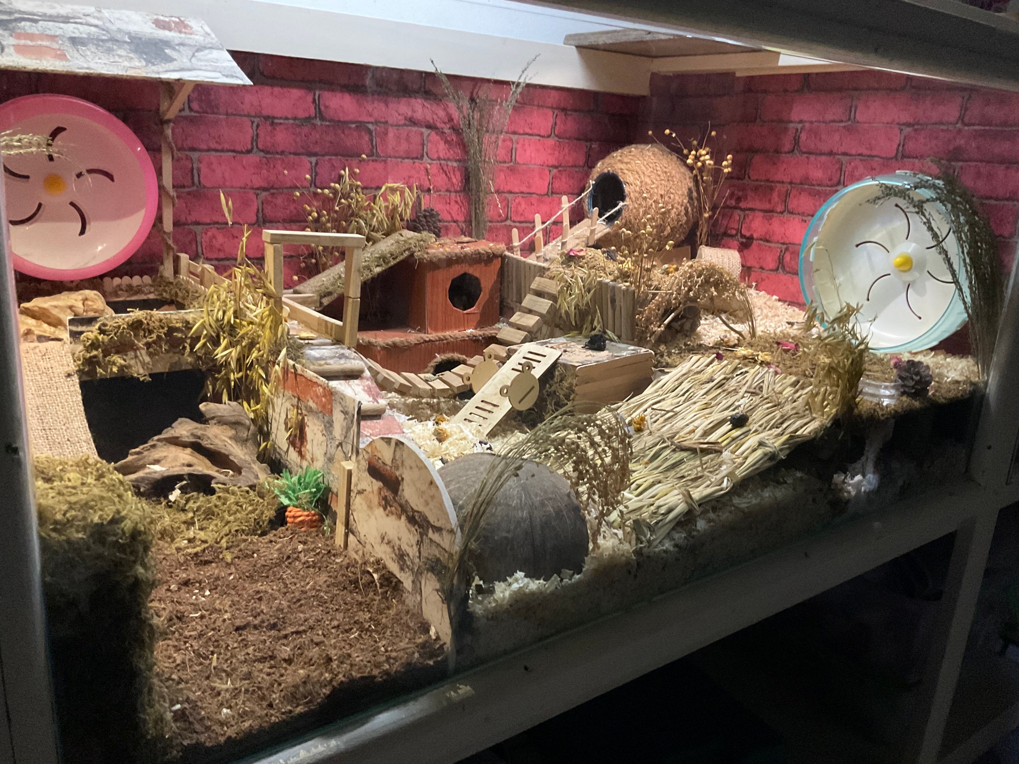 Picture of Wood Cage – Philippine Hamster Keepers