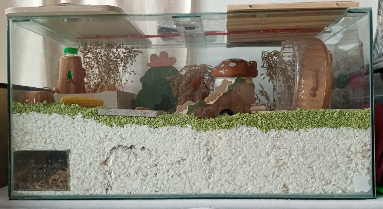 Photo inspiration: Glass Tank Hamster Visitor Data Reference: Aquarium Glass